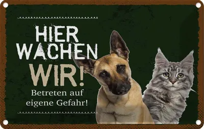 Produktbild von vianmo Blechschild 20x30 cm Hund Katze hier wachen wir