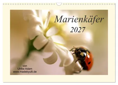 Produktbild von Marienkäfer / 2027 (Wandkalender 2027 DIN A3 quer), CALVENDO Monatskalender