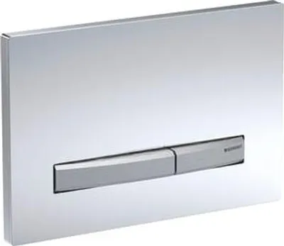 A close-up, studio shot of a toilet flush plate.