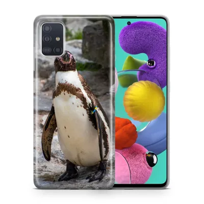 Produktbild von Handyhülle Schutzhülle für Apple iPhone 11 Case Cover Tasche Bumper Etuis TPU, Modell:Apple iPhone 11, Motiv auswählen:Pinguin