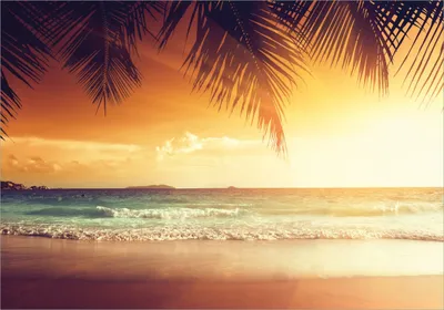 Produktbild von Wallario selbstklebendes Poster - Sonnenuntergang am Strand in der Karibik, Größe: 70 x 100 cm