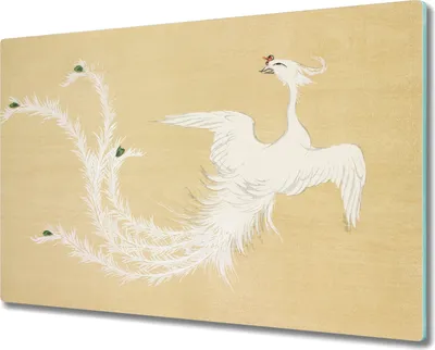Produktbild von Coloray Schneidebrett Herdabdeckplatte 80x52 cm Kochplattenabdeckung Hackbrett Küchenbrett - Tier Vogel