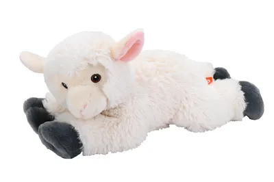 Produktbild von Wild Republic - Kuscheltier - Ecokins Medium - Lamm