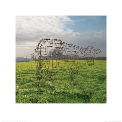 Produktbild von Pyramid International PPR45503, 1 Stück(e), Pink Floyd, Quadratisch
