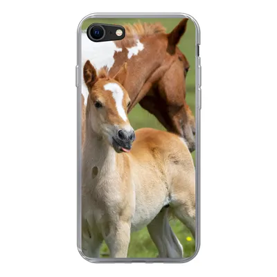 Produktbild von MuchoWow® Handyhülle Schutzhülle Hülle für iPhone 8 Pferde - Fohlen - Gras Silikon Softcase Handy Hülle - Schutzhaube