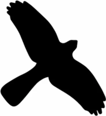 Produktbild von Dreifke® Vogelschutz Aufkleber für Fenster | Folie selbstklebend | 350x230 mm...