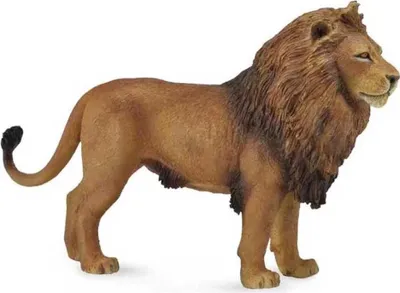 Image de Collecta - Lion d'Afrique - L - 88782 (90188782) COLECTA