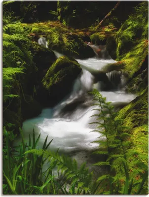Produktbild von ARTland Leinwandbild Zauberbach Größe: 60x80 cm