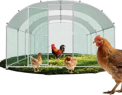 Produktbild von 3x8x2m Hühnerhaus Geflügelstall mit Wasserdichtetem PE Dach & Sicherheitsschloss Hühnerstall Verzinkter Stahl Freilaufgehege Kleintierstall mit Bogendach Freigehege für Hühner Kleintiere