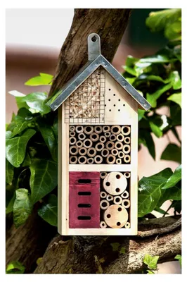 Produktbild von Insektenhaus – Nistkasten für Nützlinge – Höhe 26 cm – Bienenhotel und Schmetterlingshaus aus Holz