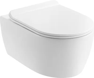 A white wall-mounted toilet with the lid down, shown from a side-front angle against a white background.