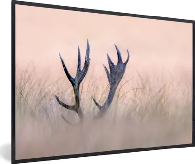 Produktbild von MuchoWow® Gerahmtes Poster Geweih - Hirsch - Gras - Natur 60x40 cm - Poster mit Schwarzem Bilderrahmen Wandposter Rahmen Foto Bilder - Printing - Wanddeko Schlafzimmer