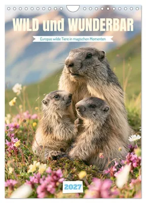 Produktbild von Wild und wunderbar (Wandkalender 2027 DIN A4 hoch), CALVENDO Monatskalender