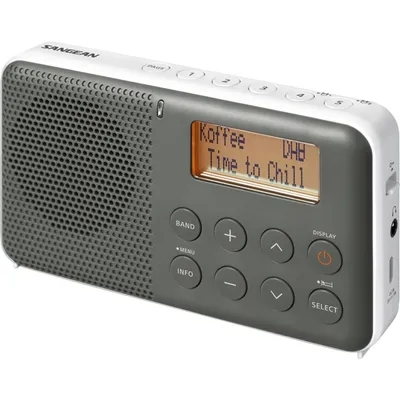 Immagine prodotto di SANGEAN Radio portatile DAB+/FM/RDS Rete/Batteria grande