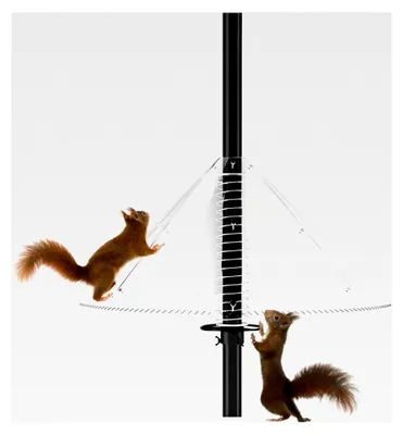 Produktbild von Eichhörnchensichere Vogelfutterstation mit Schallwand für den Außenbereich