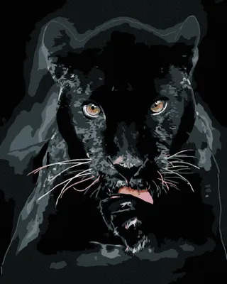 Obrázok produktu pre Zuty - Maľovanie podľa čísel - ČIERNA PUMA, 40x50 cm, vypnuté plátno na rám