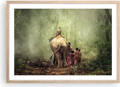 Produktbild von Gerahmtes Poster - Rahmen in heller Eiche - Elefant Dschungel Nebel - 70x50 cm - Wand Bild - Wanddeko - Wandbilder - Wandposter - Bilderrahmen - Bilder - Kunstdruck - Wandbild - P2NAA70x50-3438