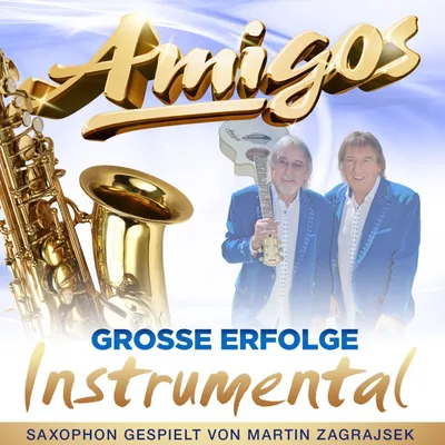 Produktbild von Amigos-Große Erfolge-Instrumental