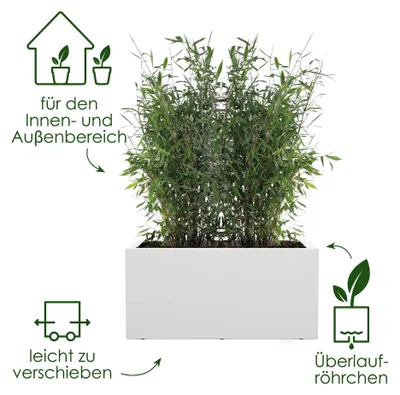 Produktbild von elho 8711904499600, Weiß, Kunststoff, Rechteck, 100%, 100%, 6000 mm