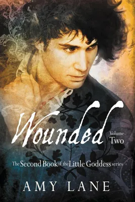 Produktbild von Wounded, Vol. 2