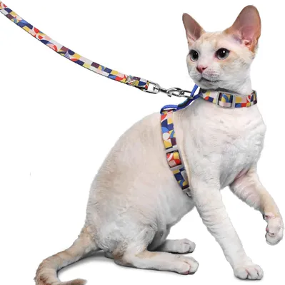 Produktbild von Katzen Geschirr mit Leine, leicht, verstellbar, ausbruchsicher, zum Spazierengehen