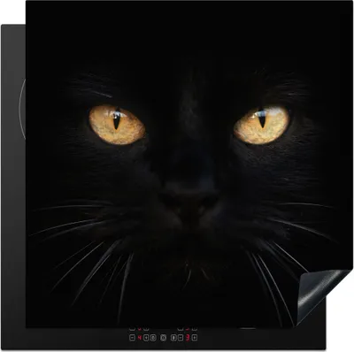 Produktbild von KitchenYeah© Herdabdeckplatte Nahaufnahme einer schwarzen Katze , 78x78cm, Küche Deko, Glaskeramikkochfeld Herdabdeckung, Abdeckplatte fùr Kochfeld