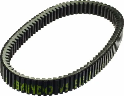 Image de Courroie de transmission POLINI Polyamide renforcée
