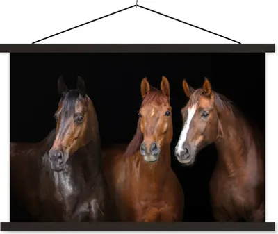 Produktbild von MuchoWow® Textilposter Pferde - Tiere - Schwarz - Porträt 120x80 cm mit schwarzem Rahmen - Wanddeko