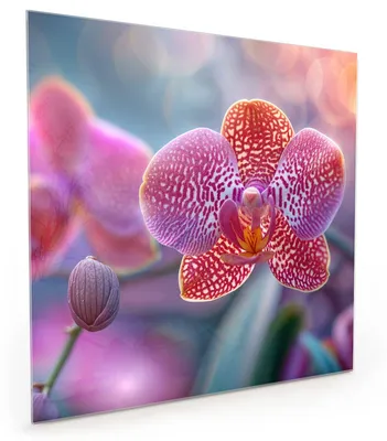 Produktbild von Küchenrückwand Spritzschutz Glas mit Motiv Exotische Orchidee 40 x 40 cm