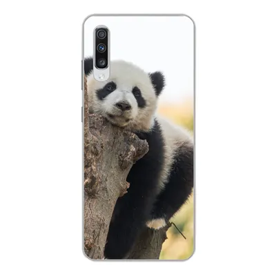 Produktbild von MuchoWow® Handyhülle Schutzhülle Hülle für Samsung Galaxy A70 Panda - Baum - Licht Silikon Softcase Handy Hülle - Schutzhaube