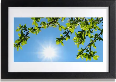 Produktbild von Bild 30x20 MDF-Rahmen Wandkunst Sonne Natur