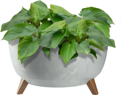 Image de KADAX Pot de fleurs Pot de fleurs 47 cm Couvercle + pieds d'insertion Support de fleurs en liège Gris