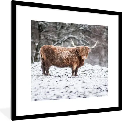 Produktbild von MuchoWow® Gerahmtes Poster Schottischer Highlander - Baum - Schnee 40x40 cm - Poster mit Schwarzem Bilderrahmen Wandposter Rahmen Foto Bilder - Poster - Plakat im Rahmen