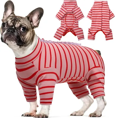 Produktbild von Kuoser Hundebody Nach Op, Kastration, Rot, Größe L