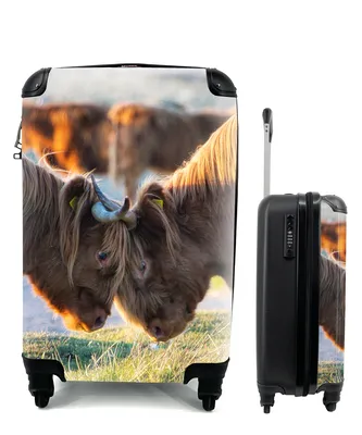 Produktbild von MuchoWow® Koffer Handgepäck Trolley Rollkoffer Kleine Reisekoffer mit 4 Rollen - Schottische Highlander - Tiere - Sonne - Cabin Size < 55x40x23 cm & 55x40x20 cm - Fotokoffer - Kabinenkoffer - Boardgepäck - Reise-Box - Reisekoffer - Reisegepäck - Koffer mit Bild - Trolley für Kinder