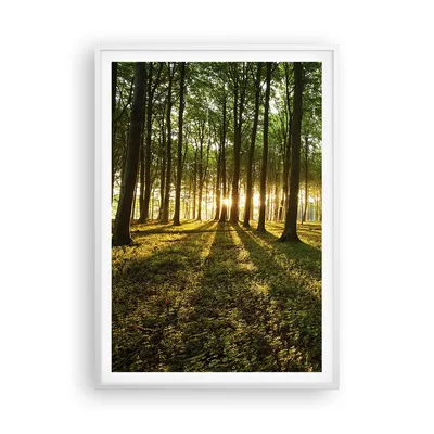 Produktbild von Gerahmtes Poster - Weißer Rahmen - Wald grün Sonnenstrahlen Natur - 70x100 cm - Wand Bild - Wanddeko - Wandbilder - Wandposter - Bilderrahmen - Bilder - Kunstdruck - Wandbild - P2WPA70x100-2510