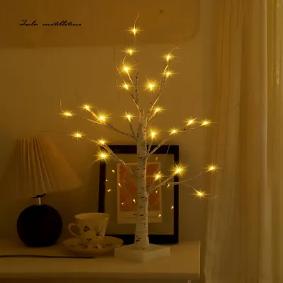 Productafbeelding van LED-lichtboom, warmwit, berkenboom, 1 stuk, 60 cm, voor binnen gebruik, met 24 LED-lampjes