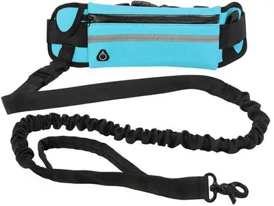 Obrázek produktu pro Reflexní modrý obojek pro psy s odnímatelným, odolným vodítkem pro outdoorové aktivity.
