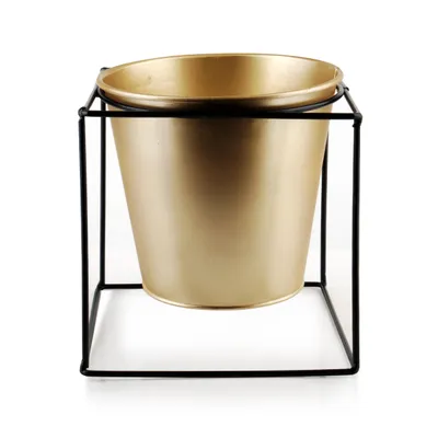 Produktbild von Goldgehäuse Swen 14 cm auf Ständer