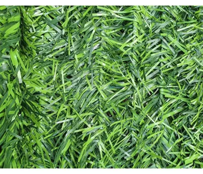 Obrázek produktu pro Okrašení Zeleni 100X300Cm Bor