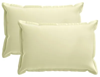 Image de vidaXL, 2 housses de coussin, HOUTEN, crème, 40 x 60 cm, polyester