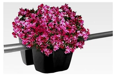 Produktbild von Balkonkasten Geländerkasten Blumentopf 24cm in 5 Farben