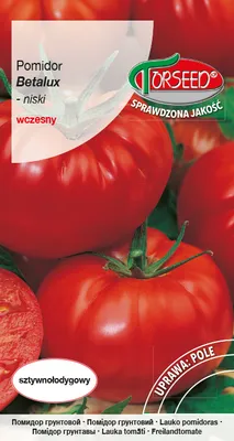 Produktbild von Samen von Betalux 0.2g gemahlene Tomate - Torseed