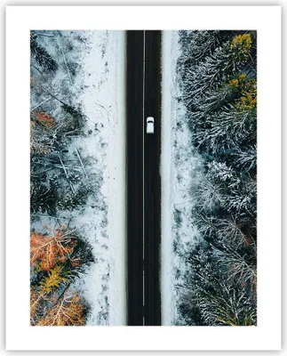 Produktbild von Poster - Poster ohne Rahmen - Wald Weg Schnee - 40x50 cm - Wand Bild - Wanddeko - Wandbilder - Kunstposter - Wandposter - Bilder - Kunstdruck - Wanddekoration - Wandbild - P2XPA40x50-4654