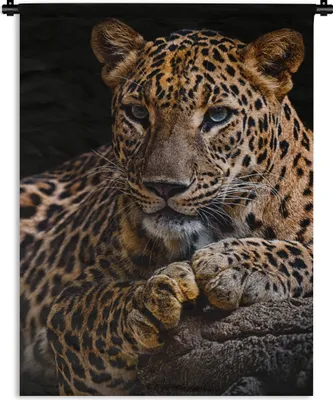 Produktbild von MuchoWow® Wandteppich Wandbehang Wildtiere - Panther - Porträt - Schwarz - Tiere 120x160 cm Tapisserie Dekoration Wandtuch - Wohnzimmer - Moderne