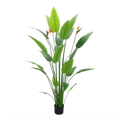 Produktbild von Künstliche Paradiesvogelpflanze 160 cm – Tropische Kunstpflanze für Wohnzimmer, Schlafzimmer & Büro