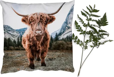 Produktbild von MuchoWow® Zierkissen Sofakissen Wohnzimmer Dekokissen 60x60 cm Schottisches Hochlandrind - Berg - Tiere - Sitzfläche - Foto Polster