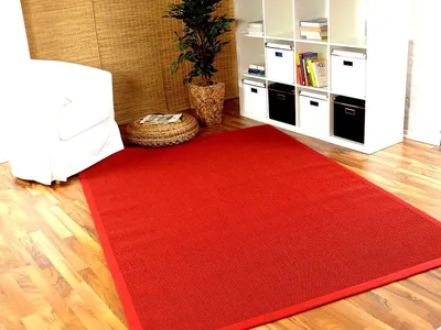 Produktbild von Sisal Astra Natur Teppich Rot Bordüre Rot, Größe:165x235 cm