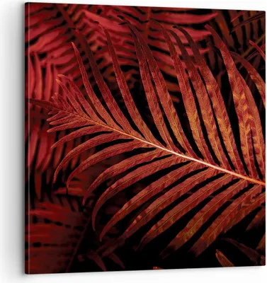 Produktbild von Bild auf Leinwand - Leinwandbild - Einteilig - Rot Blätter Palmen - 60x60cm - Wand Bild - Wanddeko - Wandbilder - Leinwanddruck - Bilder - Wanddekoration - Leinwand bilder - Wandbild - AC60x60-4816