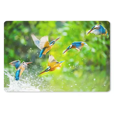 Produktbild von MuchoWow® Schreibtischunterlage Vögel - Eisvogel - Tiere - Wasser 60x40 cm - XXL Mauspad - Großes Mauspad